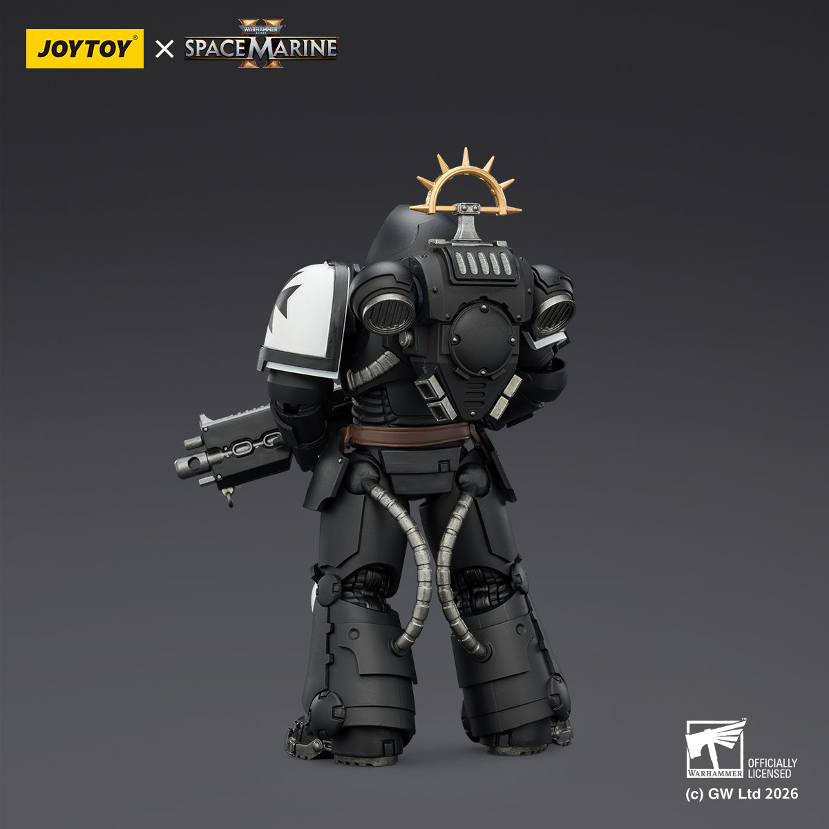 Black Templars Heavy Intercessor with Heavy Bolt Rifle and Bolt Pistol