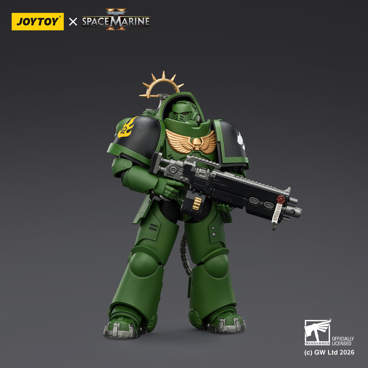 Salamanders Heavy Intercessor with Heavy Bolt Rifle and Bolt Pistol