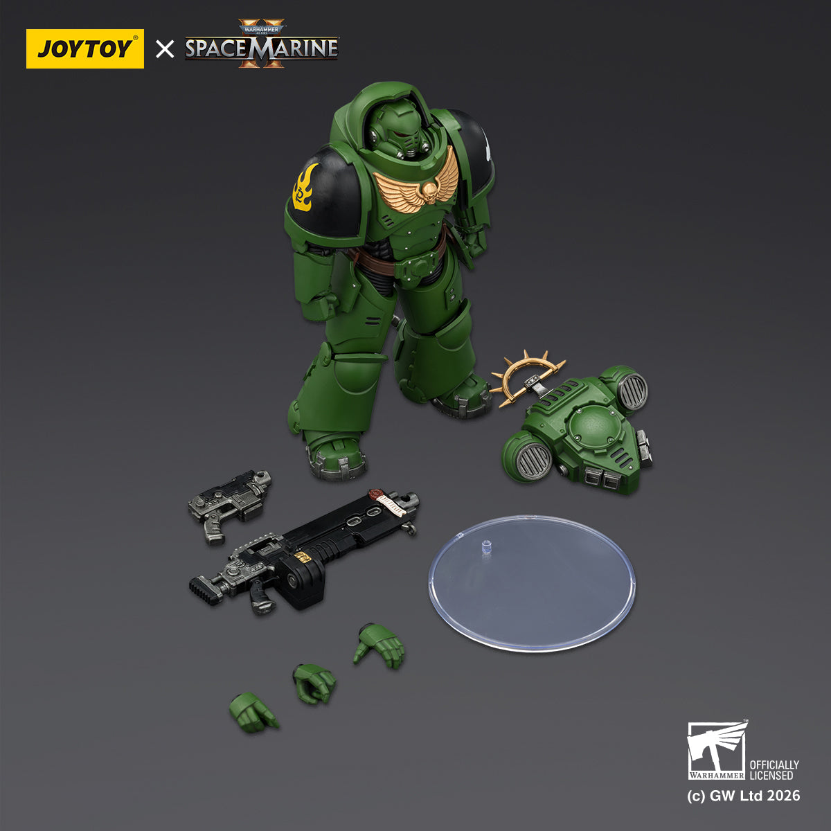 Salamanders Heavy Intercessor with Heavy Bolt Rifle and Bolt Pistol