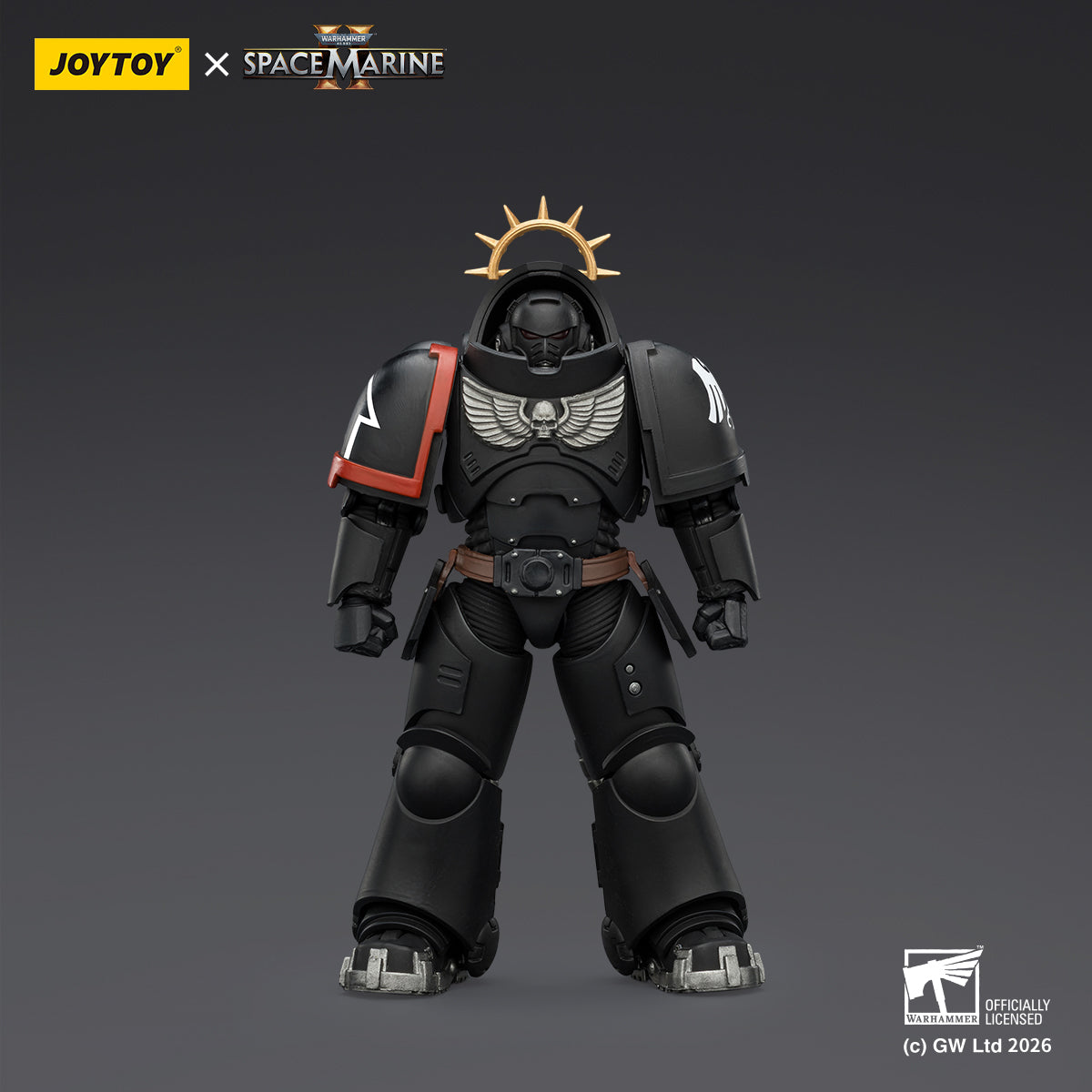 Raven Guard Heavy Intercessor with Heavy Bolt Rifle and Bolt Pistol