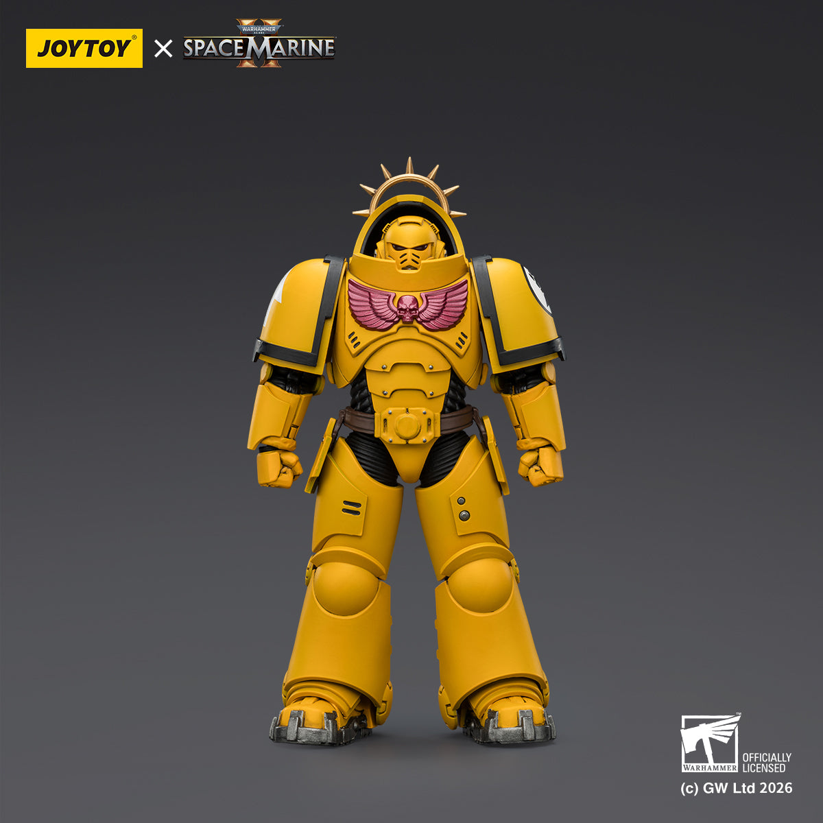 Imperial Fists Heavy Intercessor with Heavy Bolt Rifle and Bolt Pistol