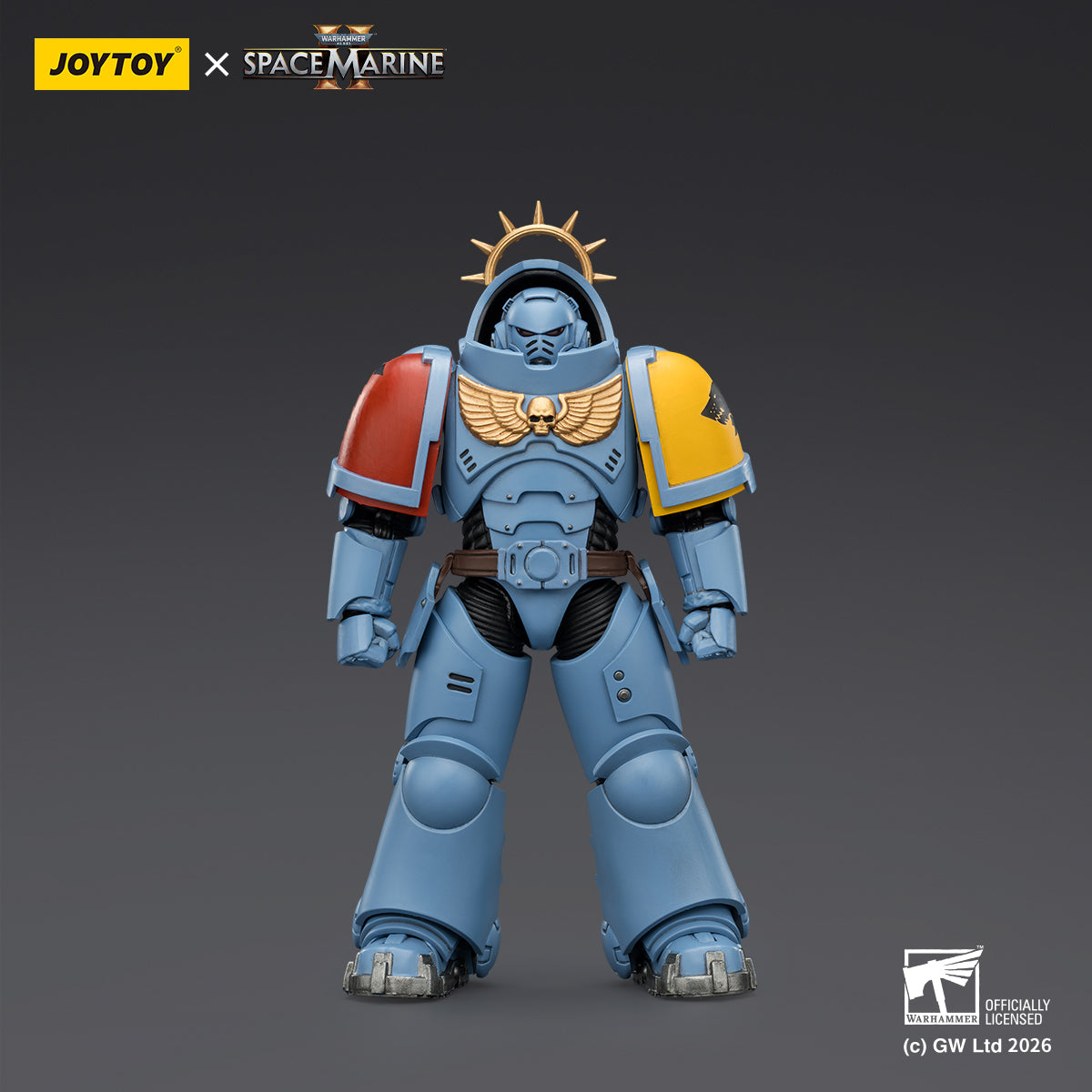 Space Wolves Heavy Intercessor with Heavy Bolt Rifle and Bolt Pistol