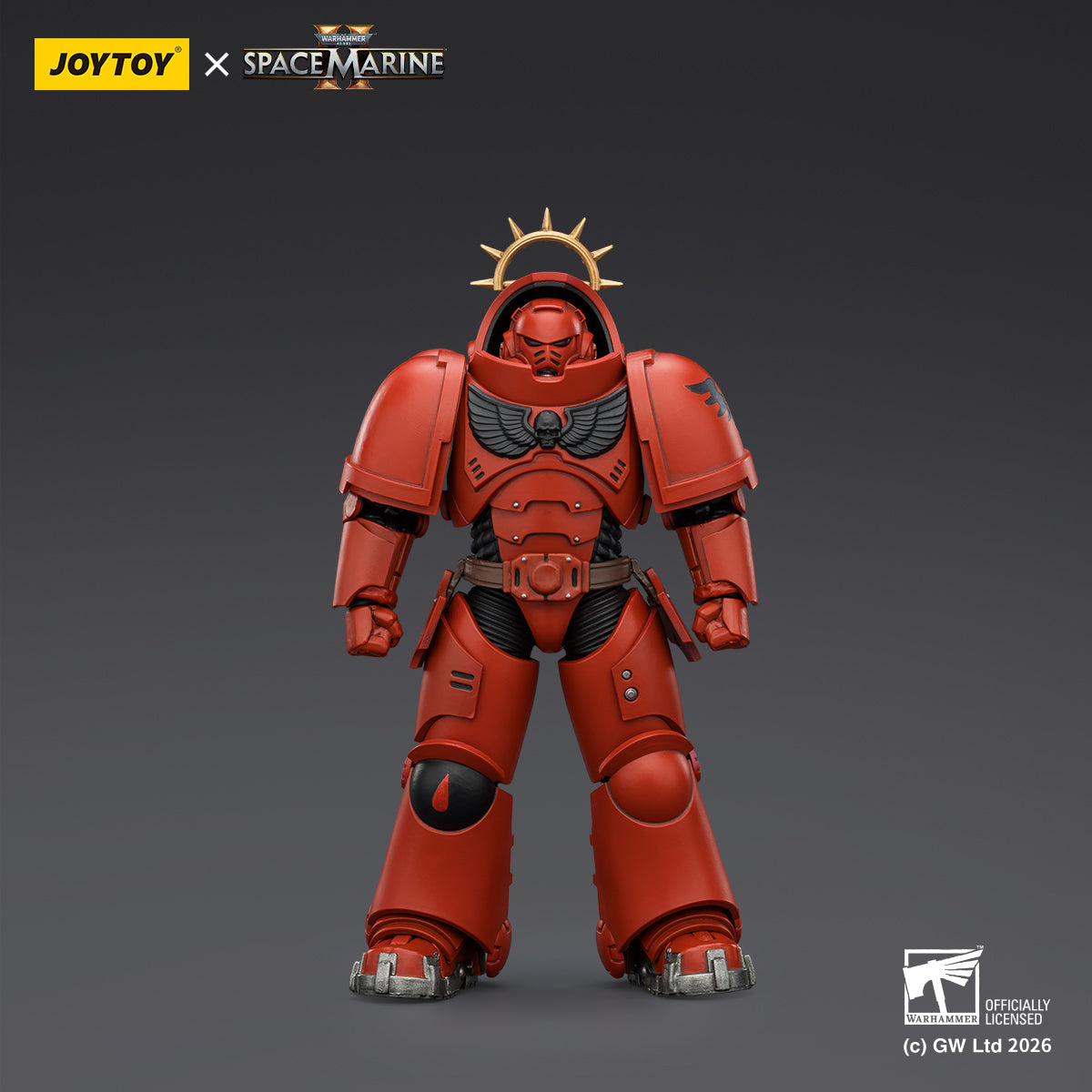 Blood Angels Heavy Intercessor with Heavy Bolt Rifle and Bolt Pistol