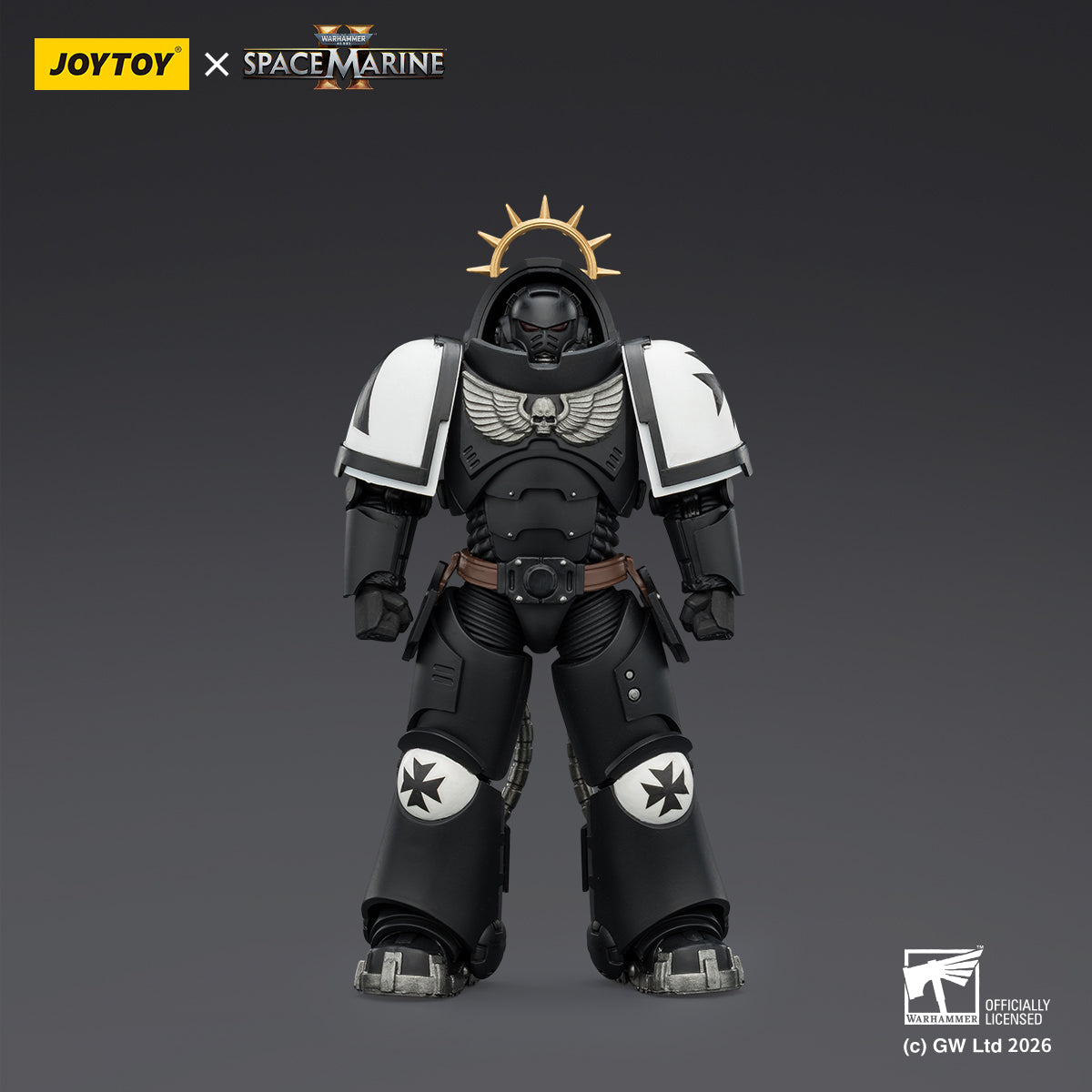 Black Templars Heavy Intercessor with Heavy Bolt Rifle and Bolt Pistol