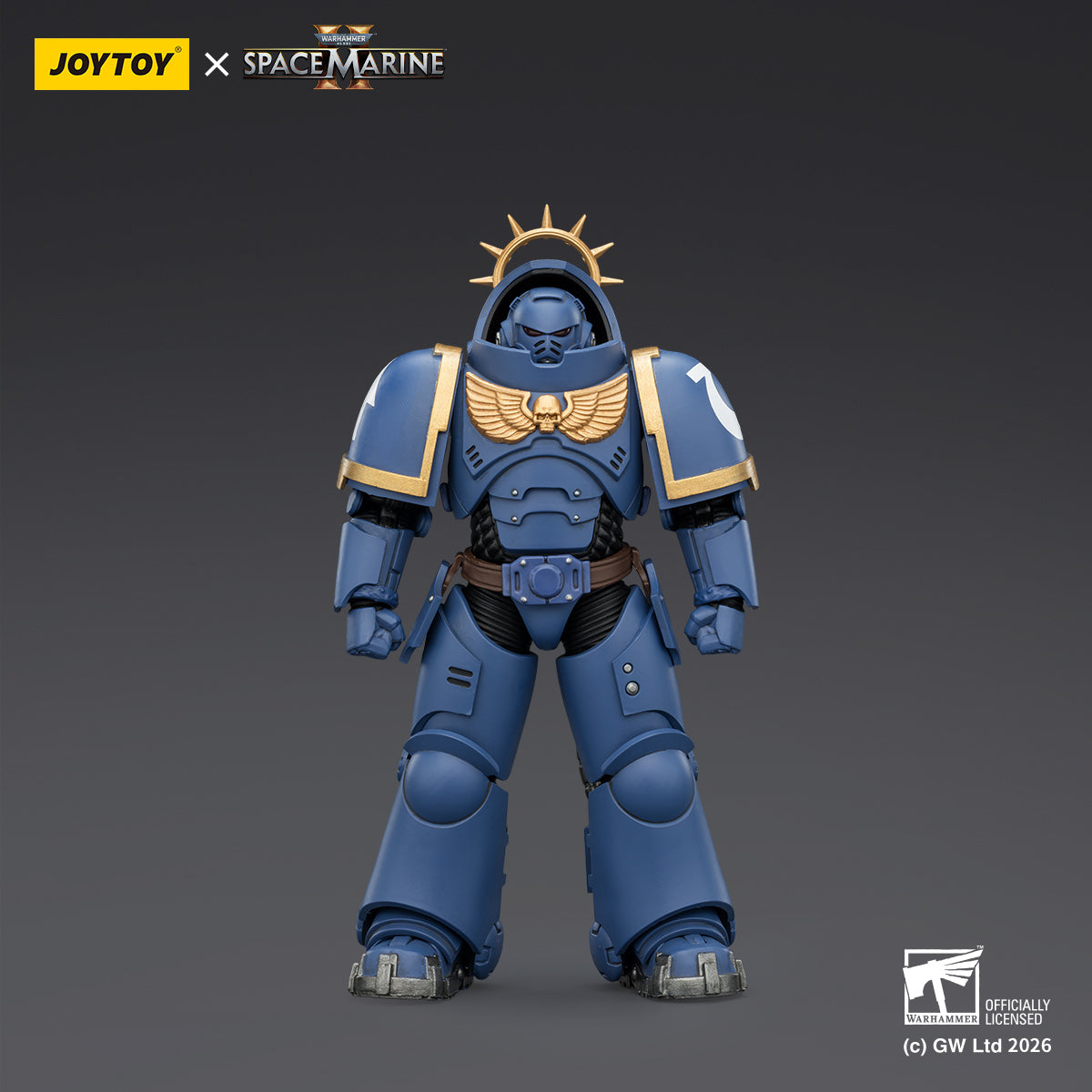 Ultramarines Heavy Intercessor with Heavy Bolt Rifle and Bolt Pistol
