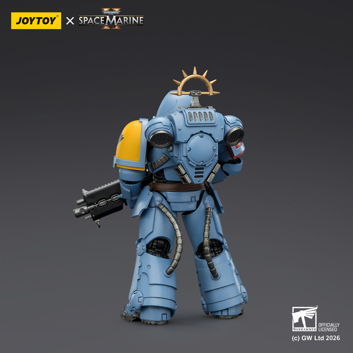 Space Wolves Heavy Intercessor with Heavy Bolt Rifle and Bolt Pistol