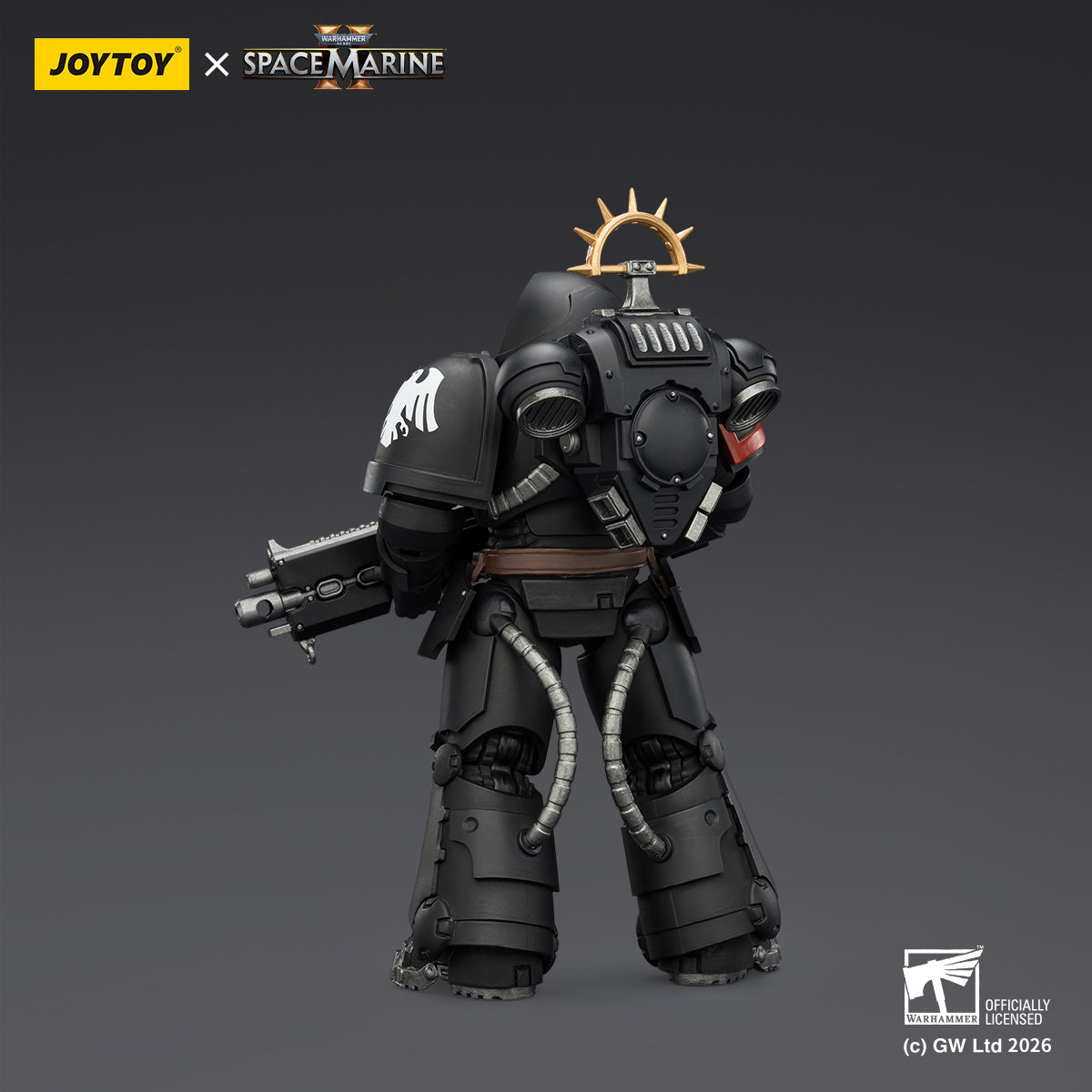 Raven Guard Heavy Intercessor with Heavy Bolt Rifle and Bolt Pistol