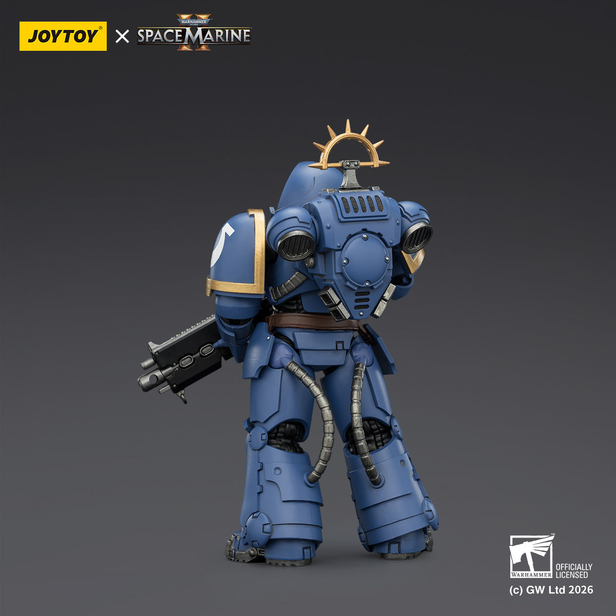 Ultramarines Heavy Intercessor with Heavy Bolt Rifle and Bolt Pistol